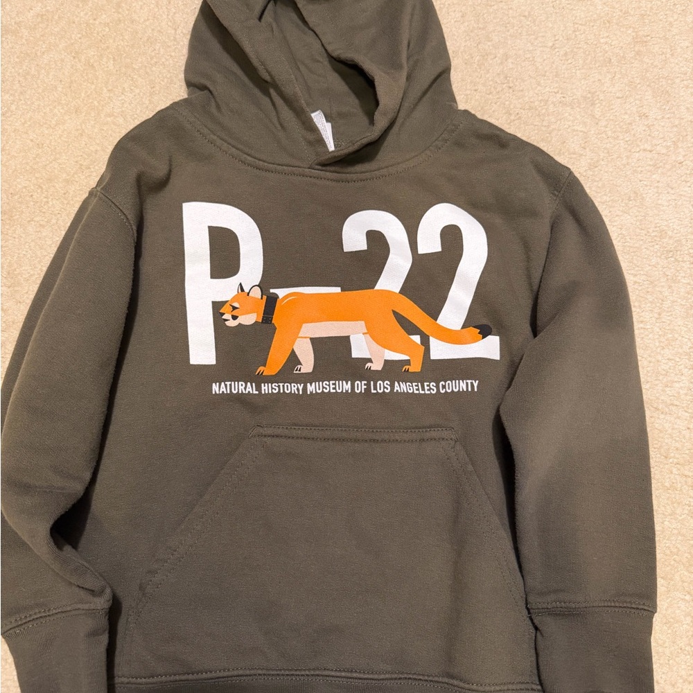 Kids Green Hoodie with P-22 Graphic